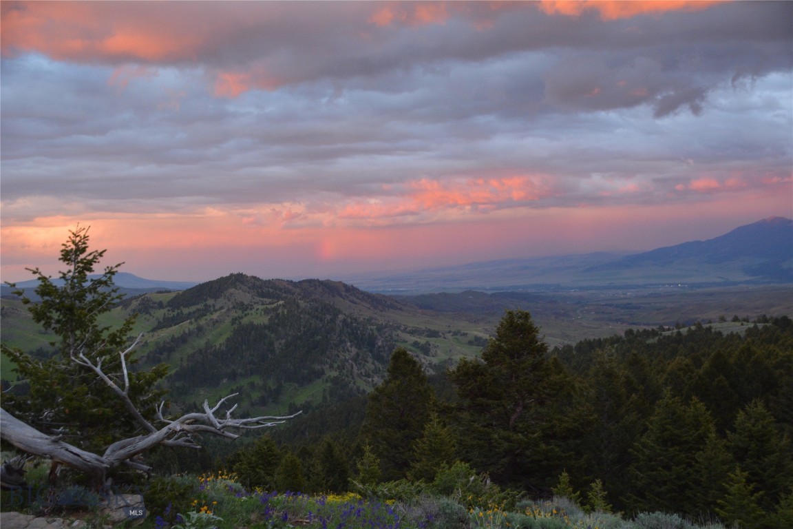125 Rocky Mountain Meadows