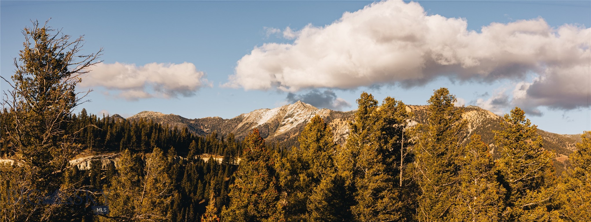 852 Outlook Trail