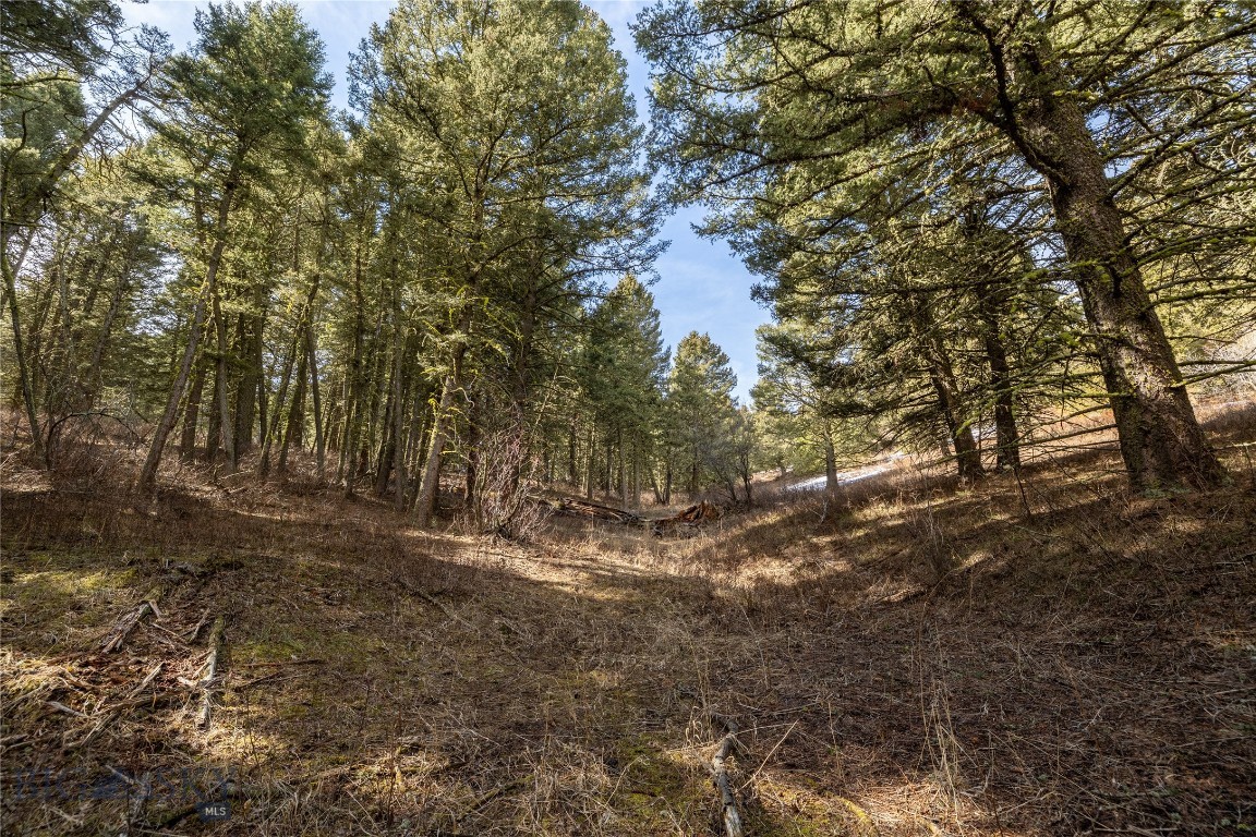 TBD Sunflower Lane LOT 4 Lane