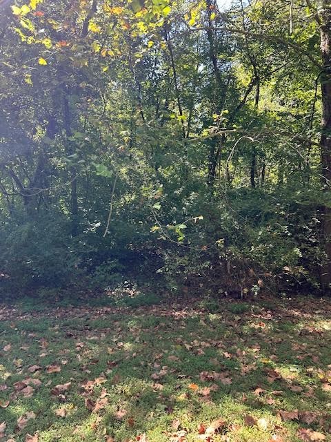 2411 Snowbird Hollow Rd