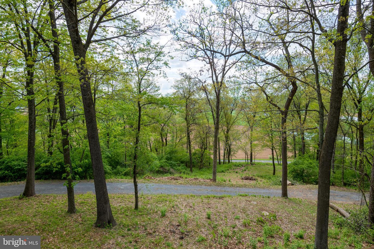 340 Forest Rd