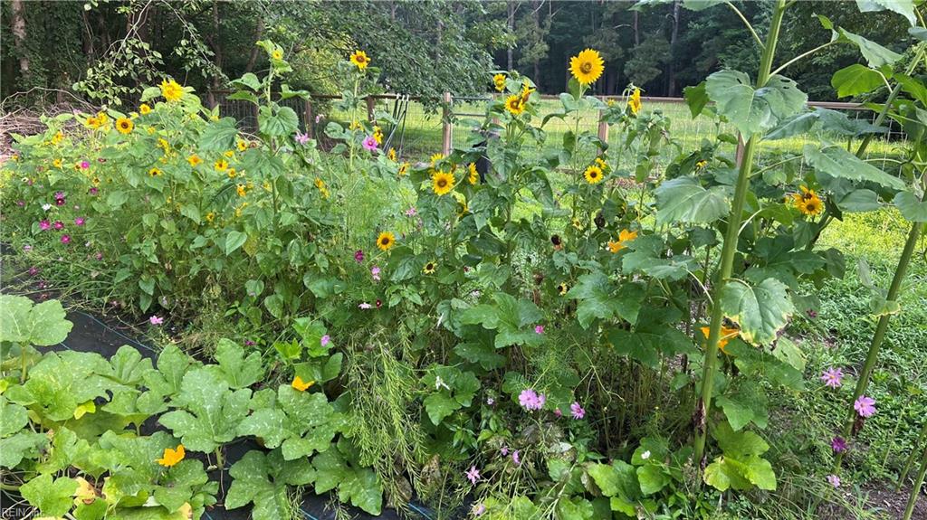 2805 Bunch Walnuts RD