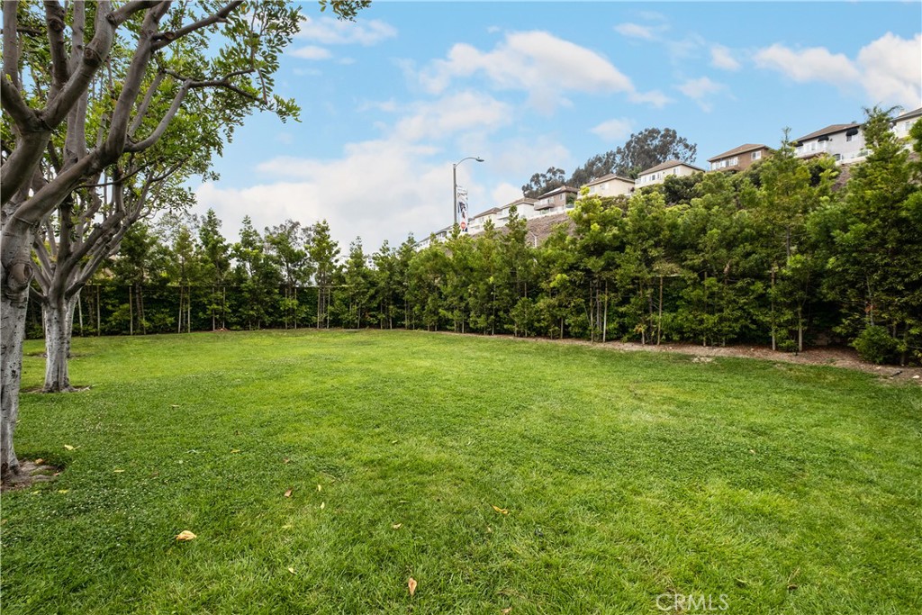 33646 Tidewater Drive 81