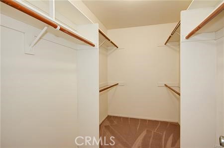 2189 Calle Ola Verde 196