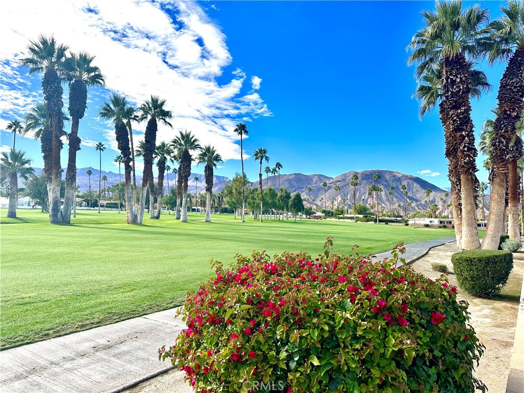 73651 Golf Course Lane C