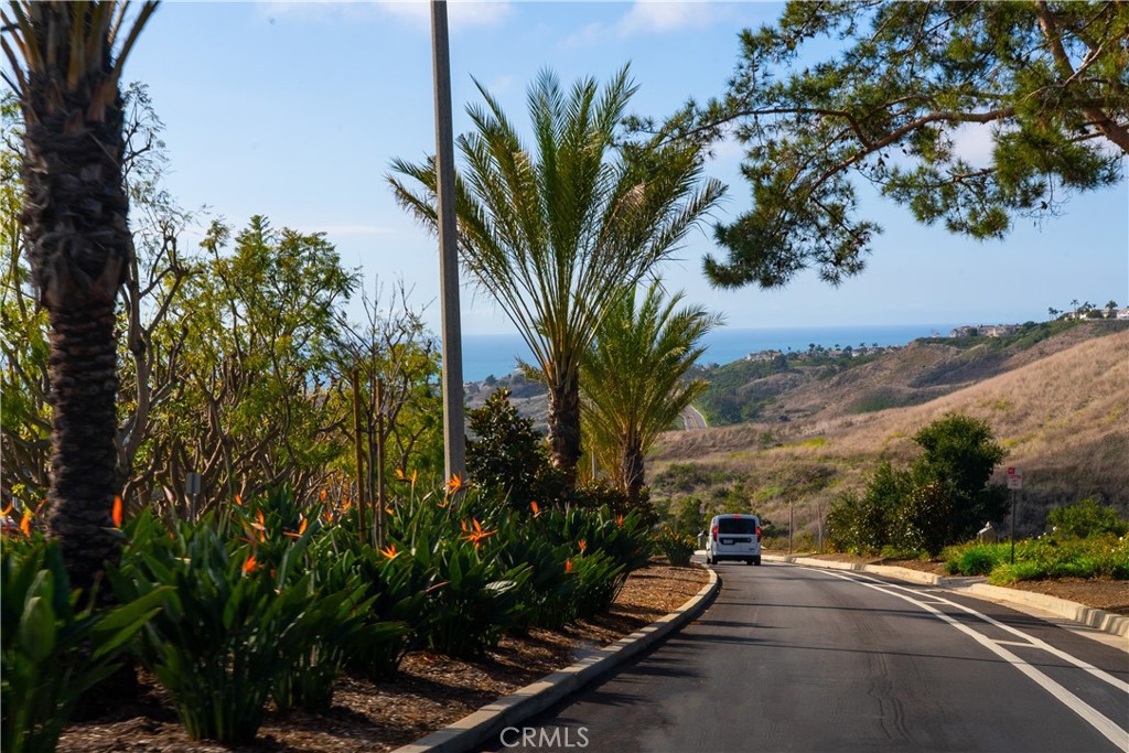 1046 Calle Del Cerro 423