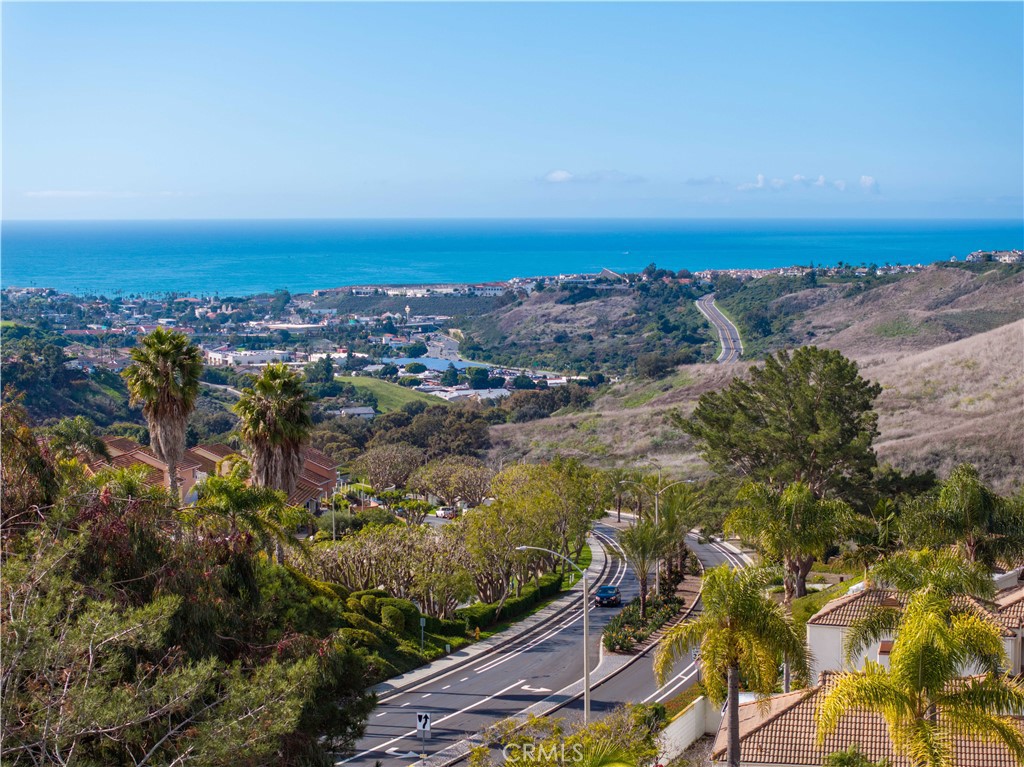 1046 Calle Del Cerro 423