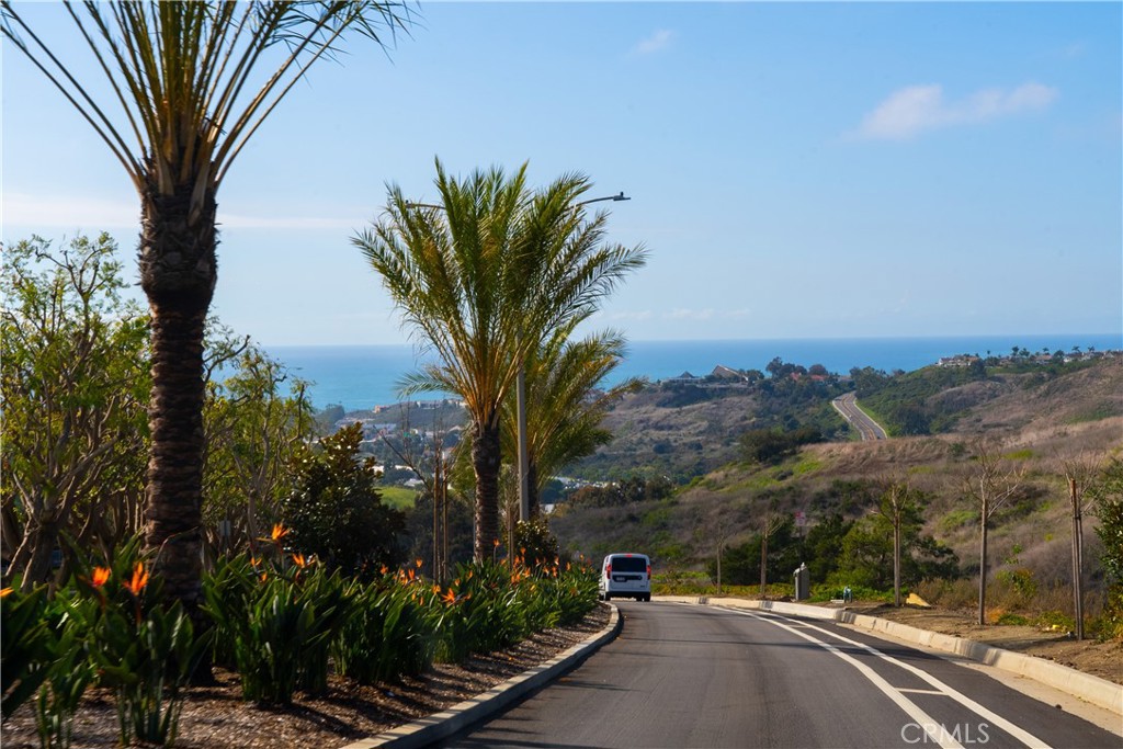 1046 Calle Del Cerro 423