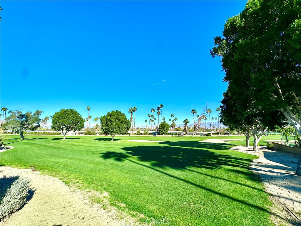 73620 Golf Course Lane C