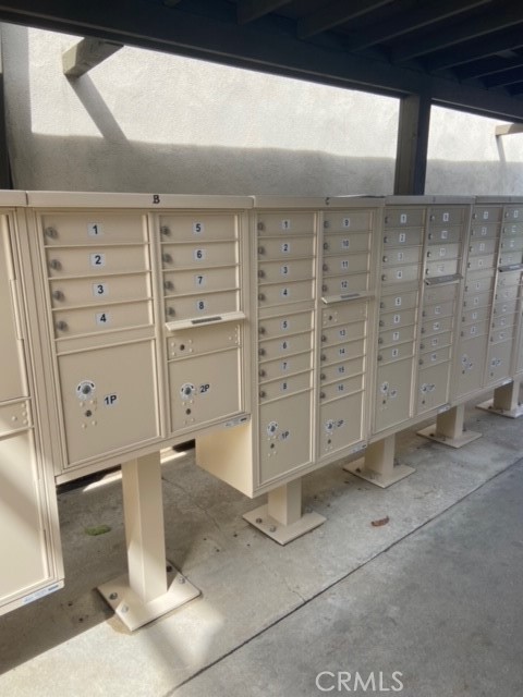 23304 Sesame Street C