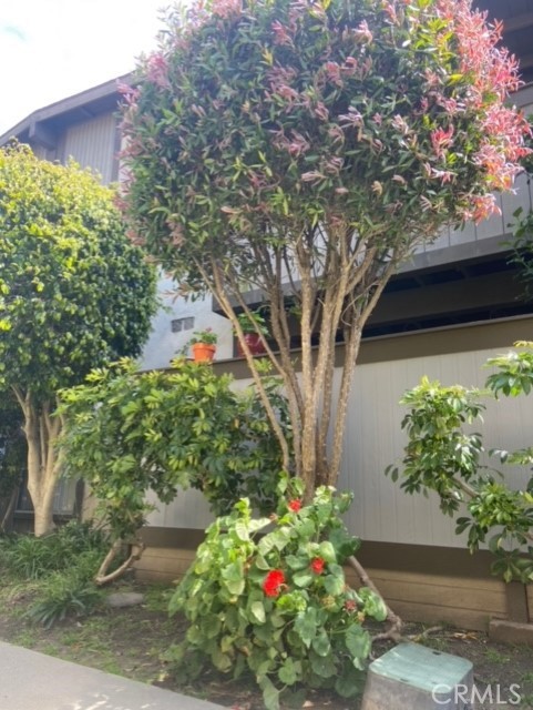 23304 Sesame Street C