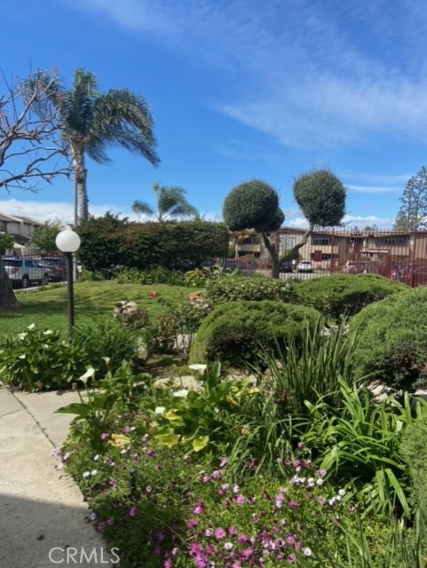 23304 Sesame Street C