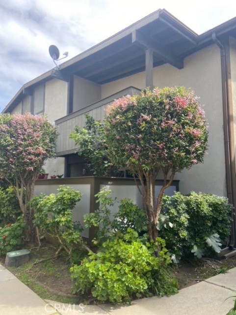 23304 Sesame Street C