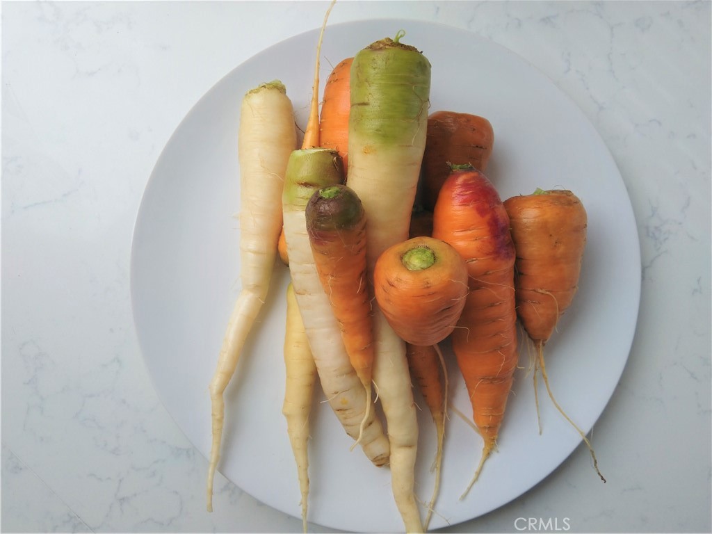 28962 De La Luna Drive