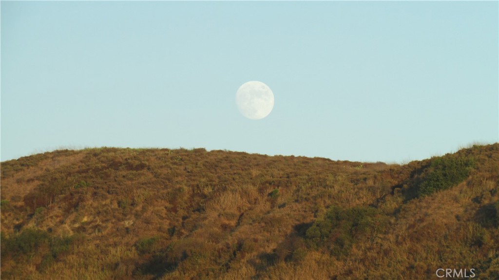 28962 De La Luna Drive