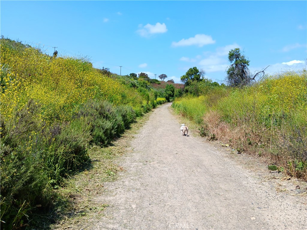 28962 De La Luna Drive