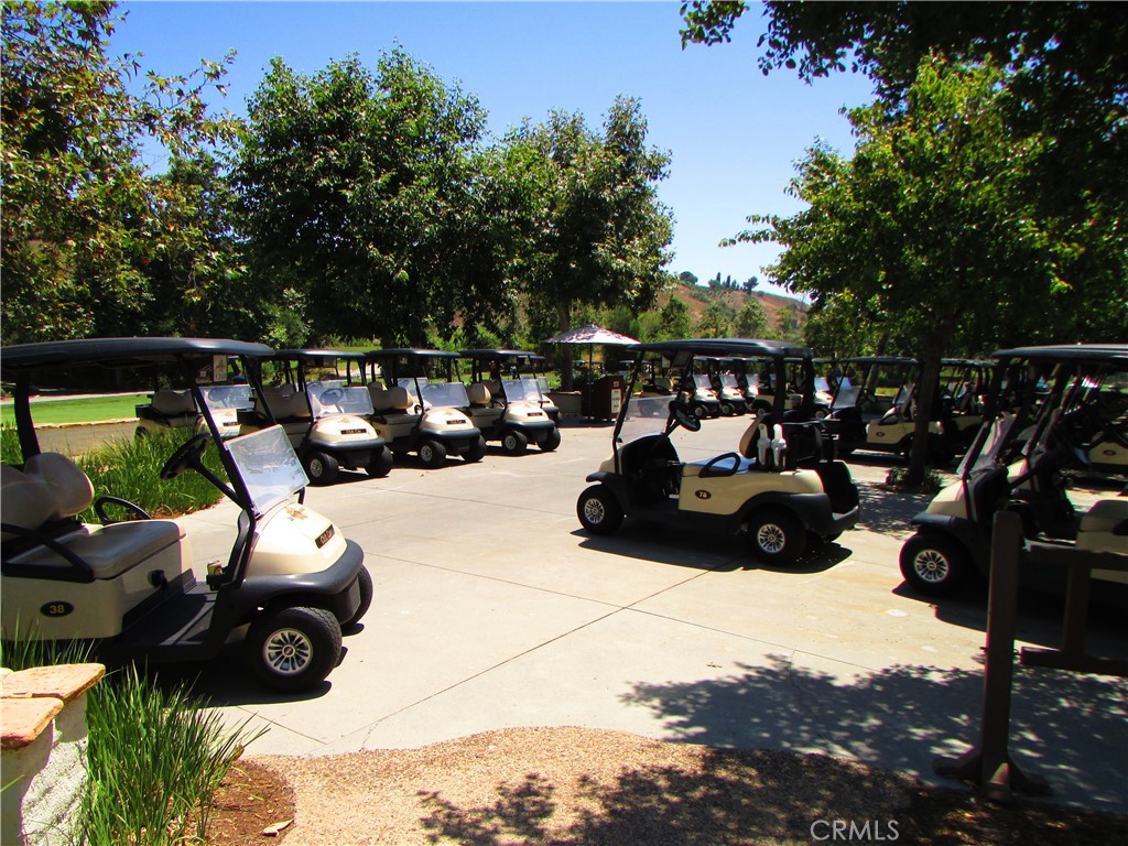 28962 De La Luna Drive