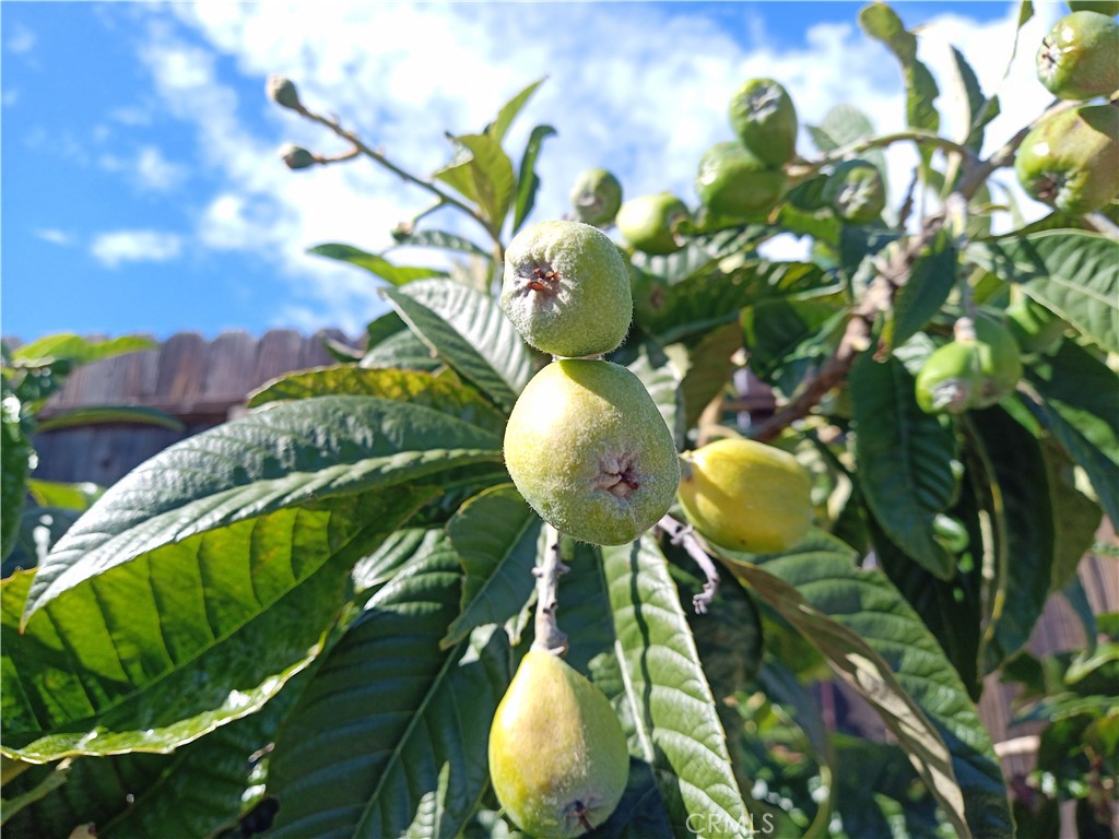 28962 De La Luna Drive