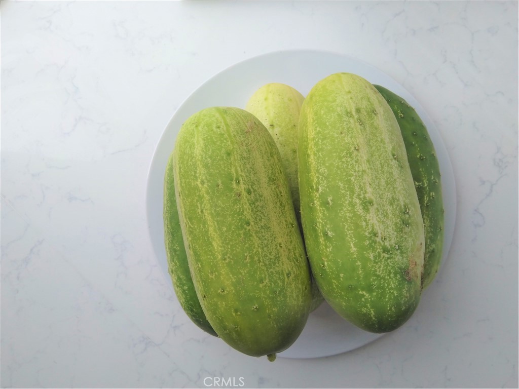 28962 De La Luna Drive