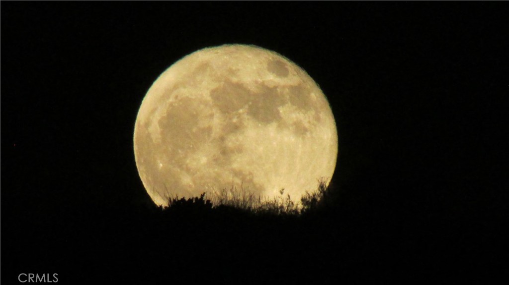 28962 De La Luna Drive