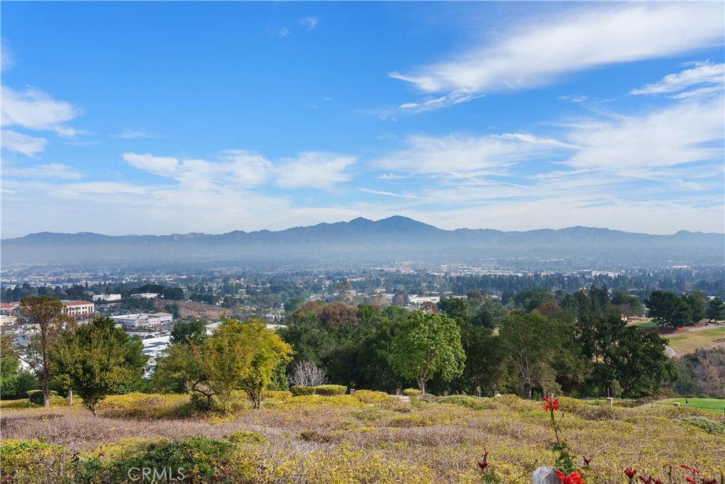 4003 Calle Sonora Oeste 1G