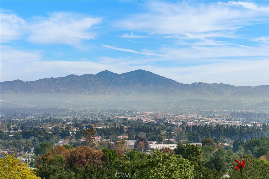 4003 Calle Sonora Oeste 1G