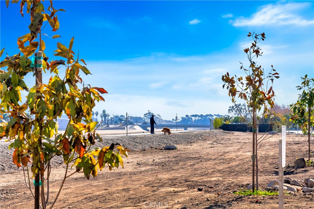 33121 Sandpiper Court