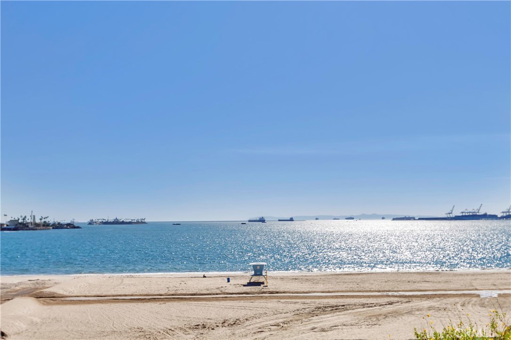 354 Chestnut Avenue 2