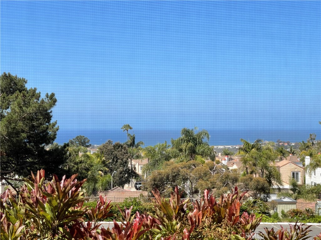 1074 Calle Del Cerro #1802