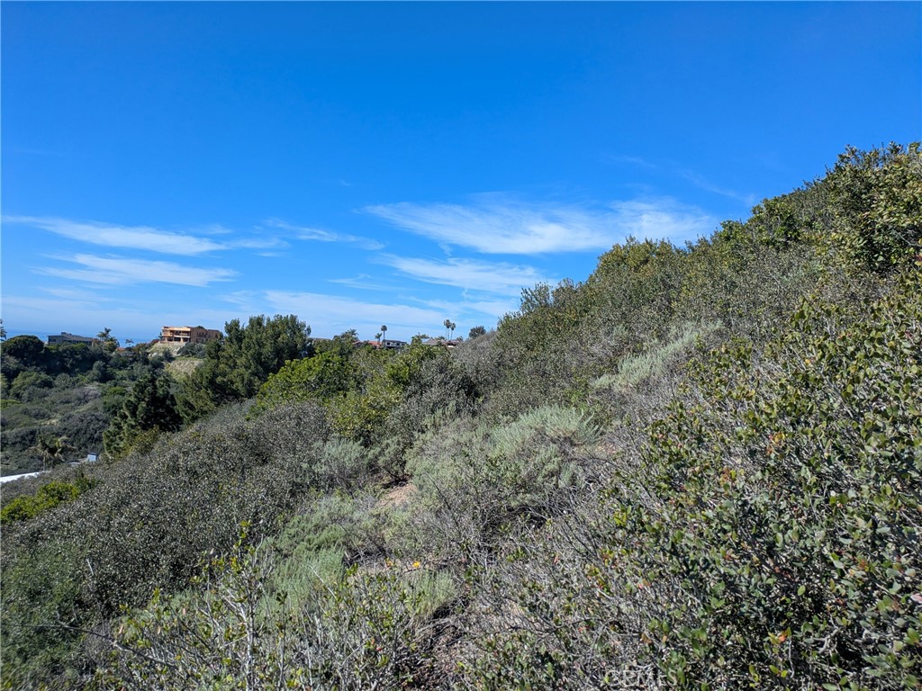 504 E Avenida San Juan