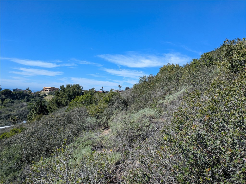 504 E Avenida San Juan