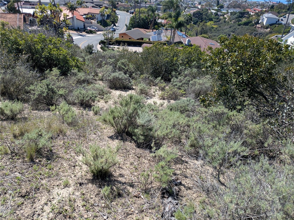 504 E Avenida San Juan