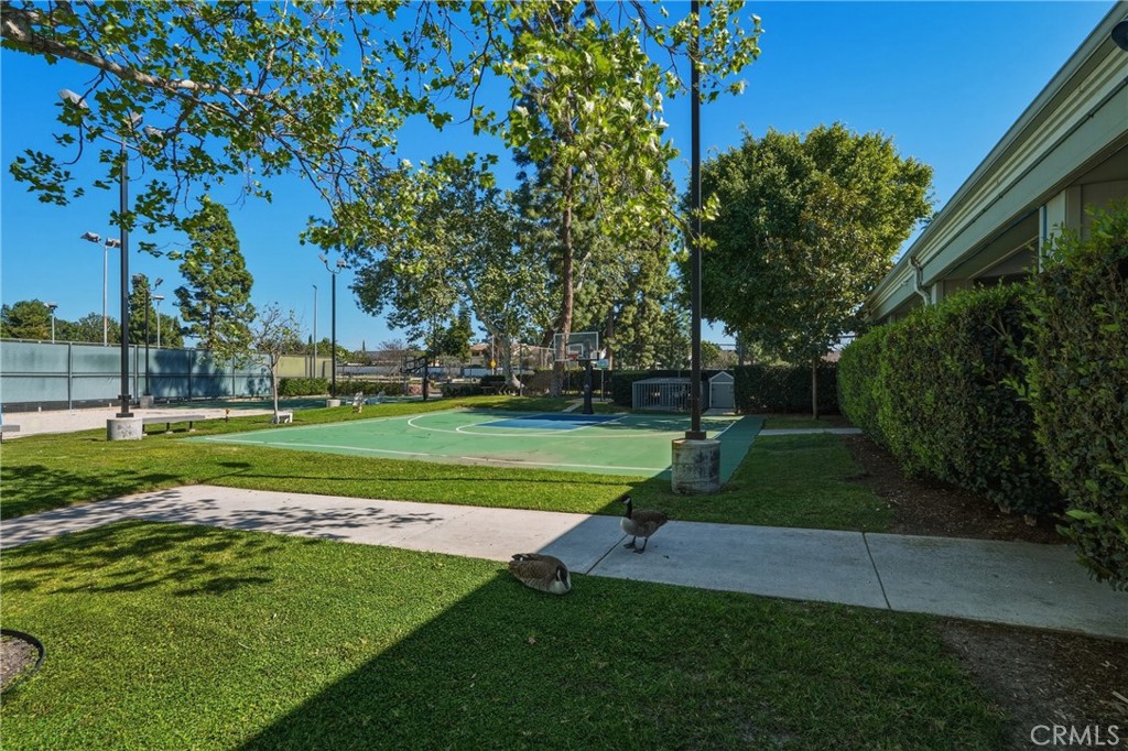 24210 Jasper Lake 52