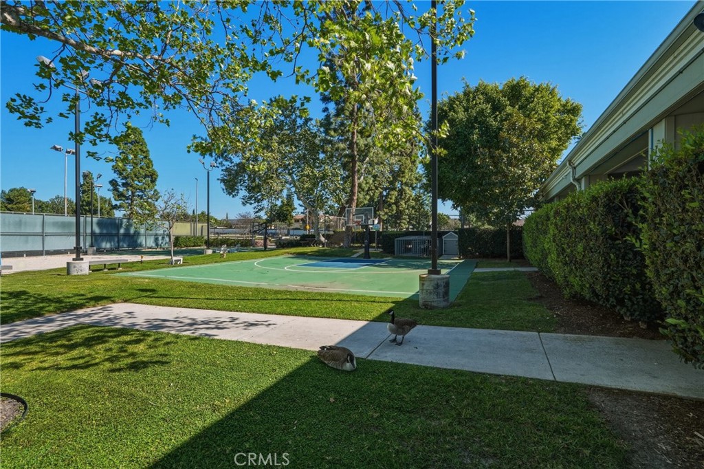 24210 Jasper Lake 52