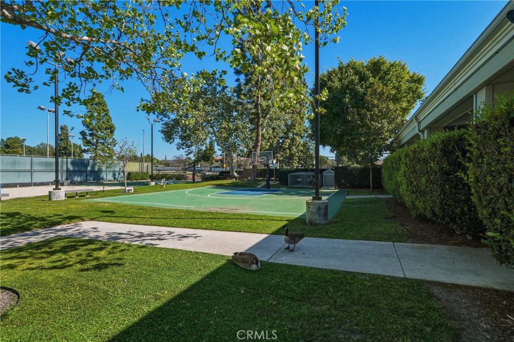 24210 Jasper Lake 52