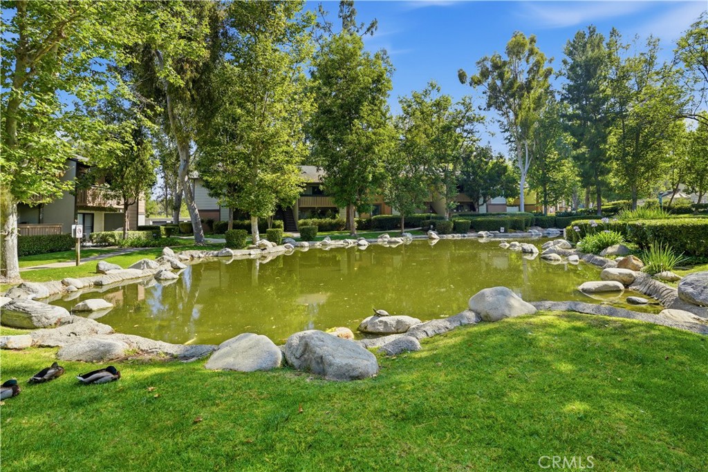 20702 El Toro Road 231