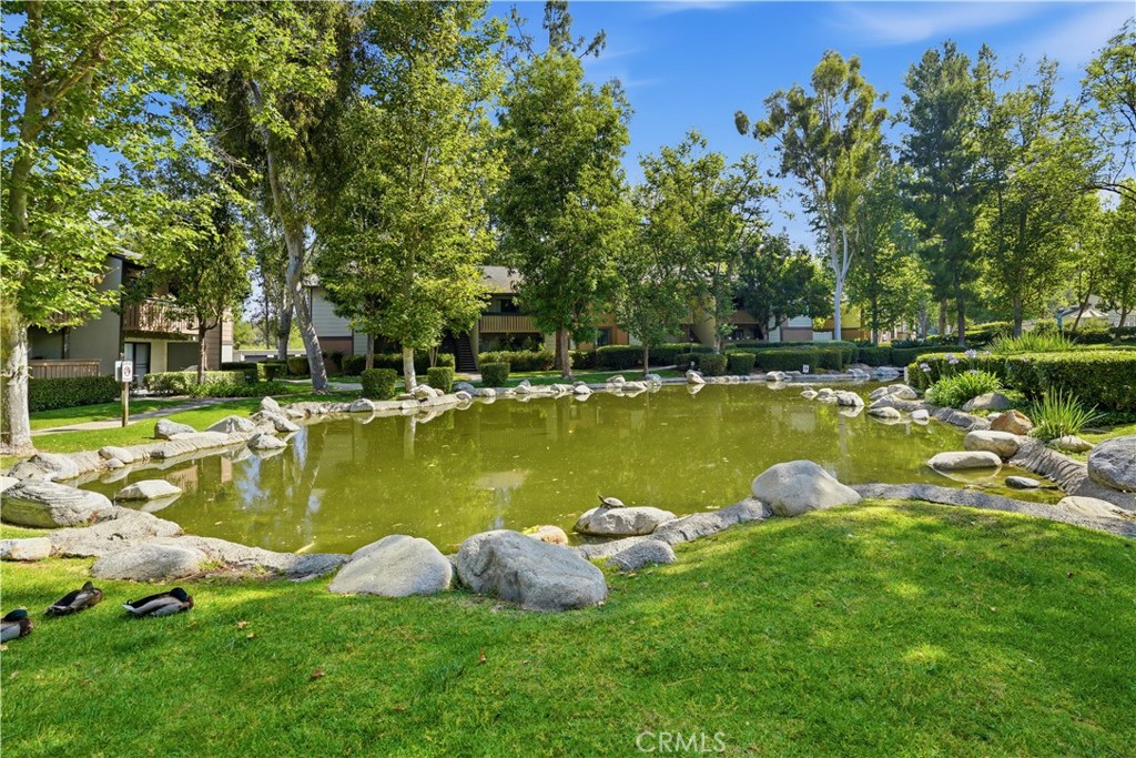 20702 El Toro Road 231