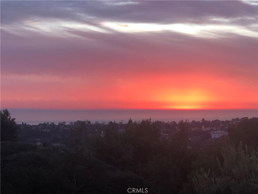 2852 Via Amapola