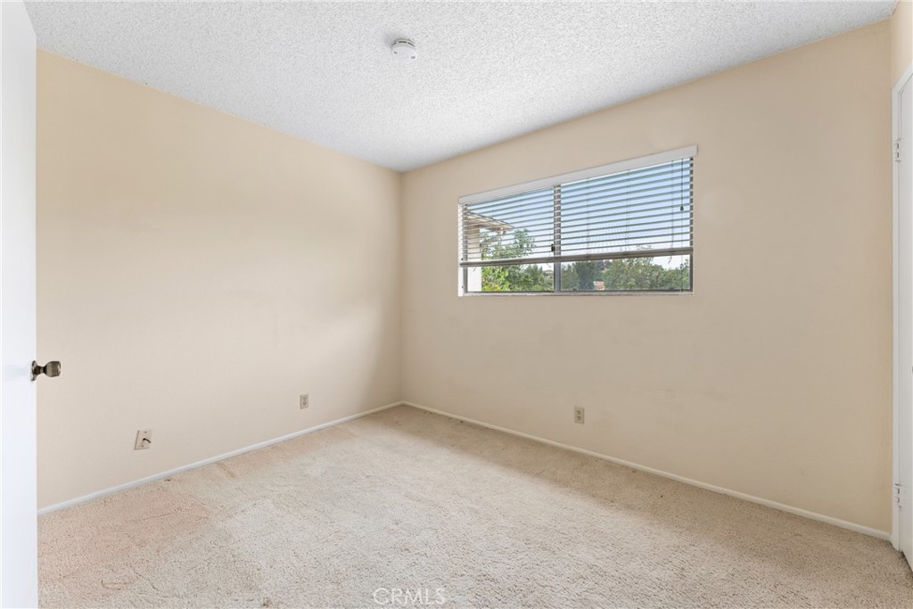 25491 Mcintyre