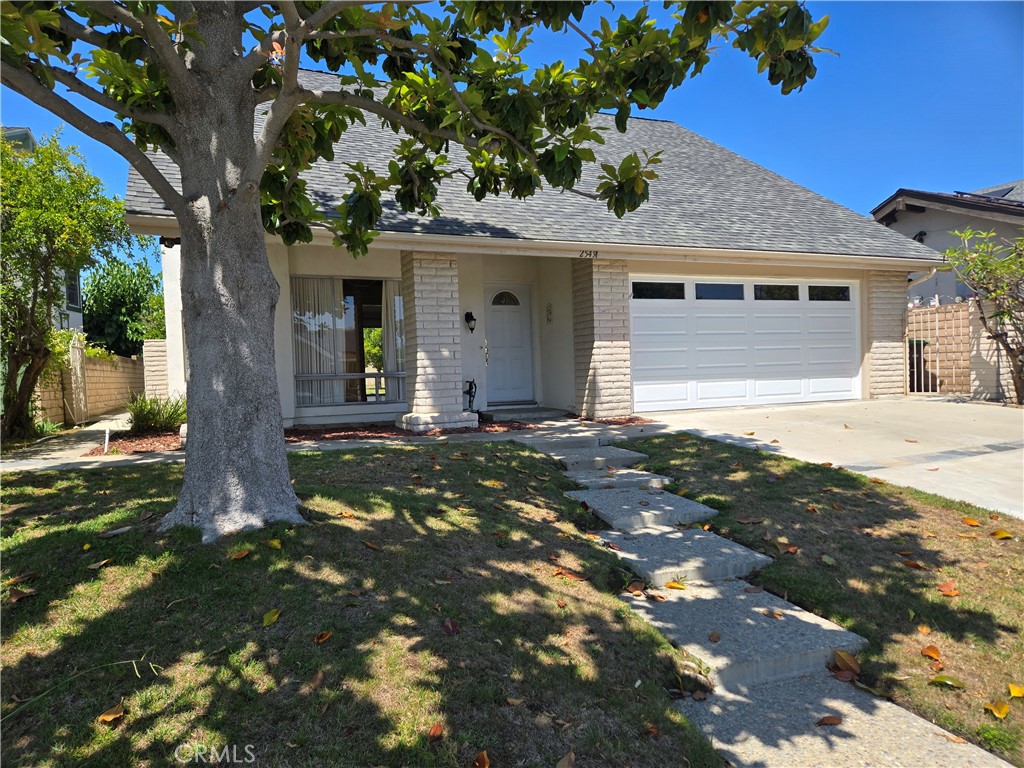 25491 Mcintyre