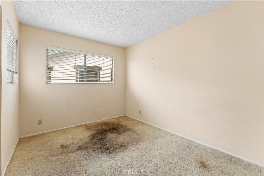 25491 Mcintyre