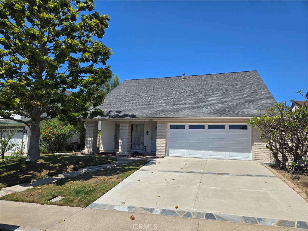25491 Mcintyre