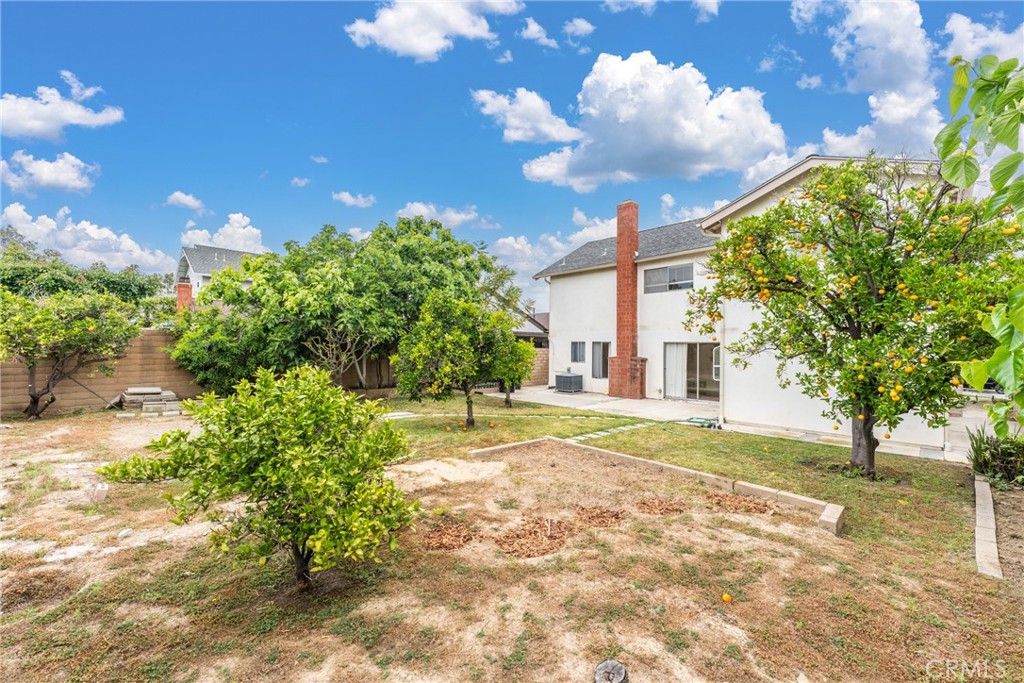 25491 Mcintyre