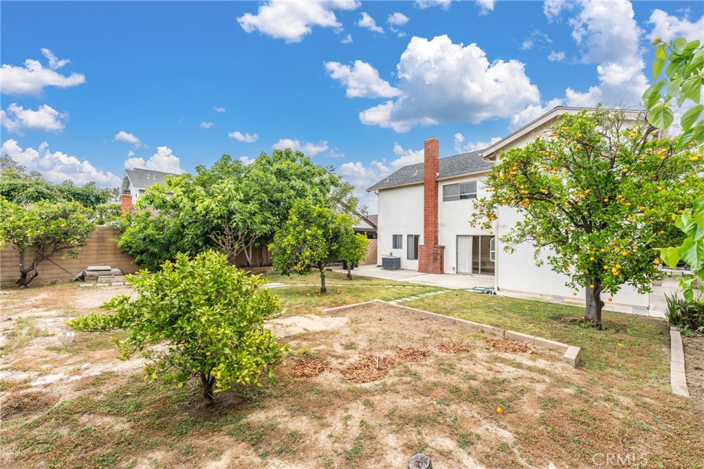 25491 Mcintyre