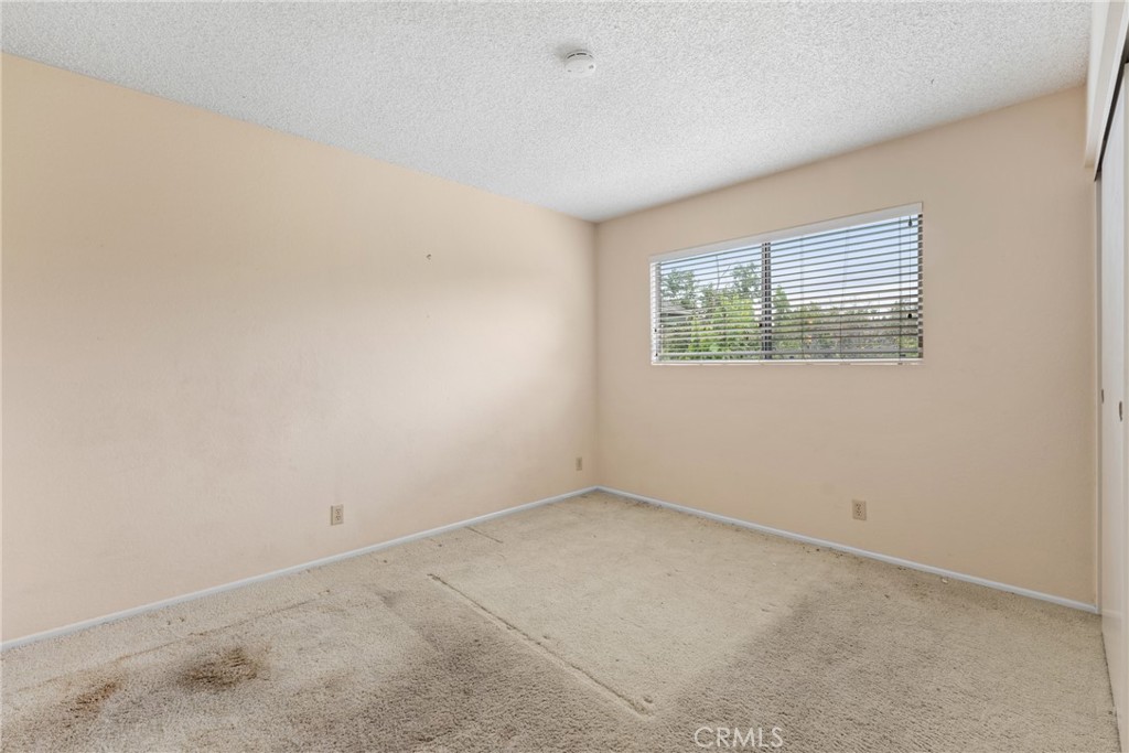 25491 Mcintyre