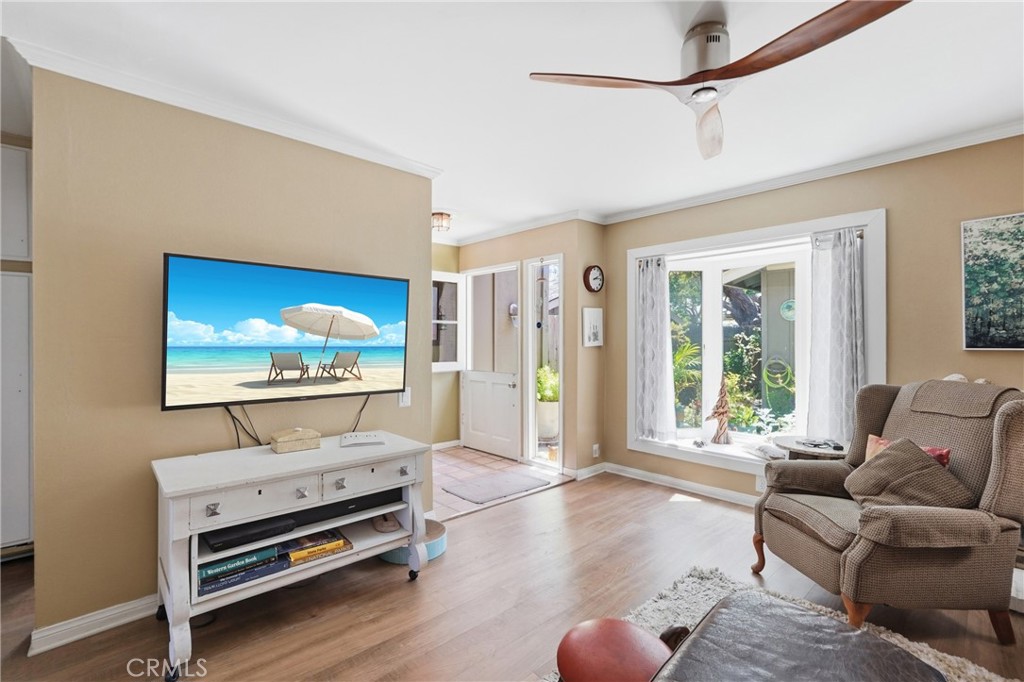 29576 Pelican