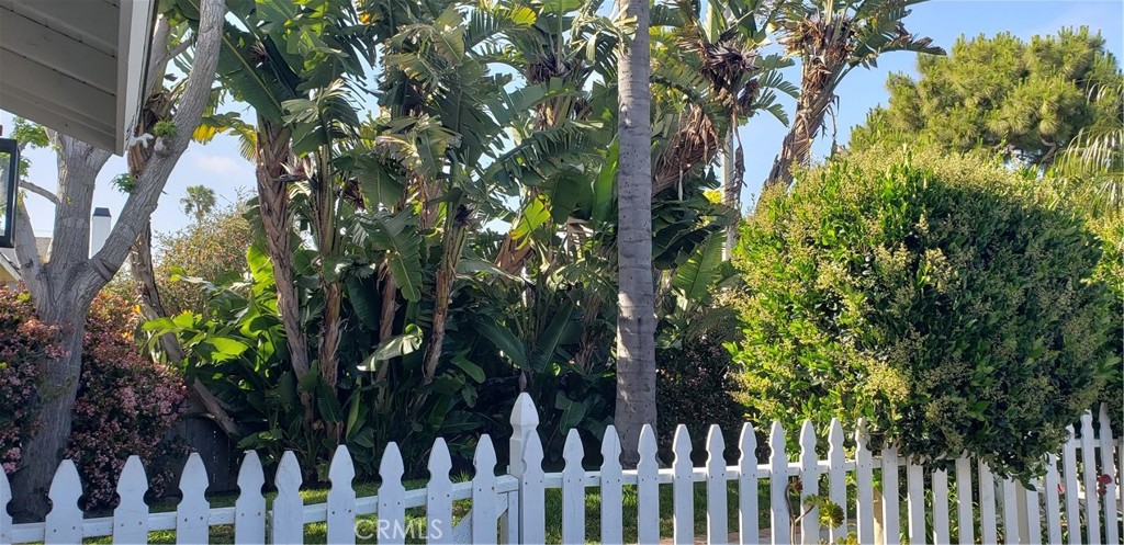 215 Knox Street
