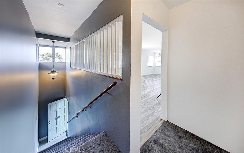 3876 Roble Vista Drive