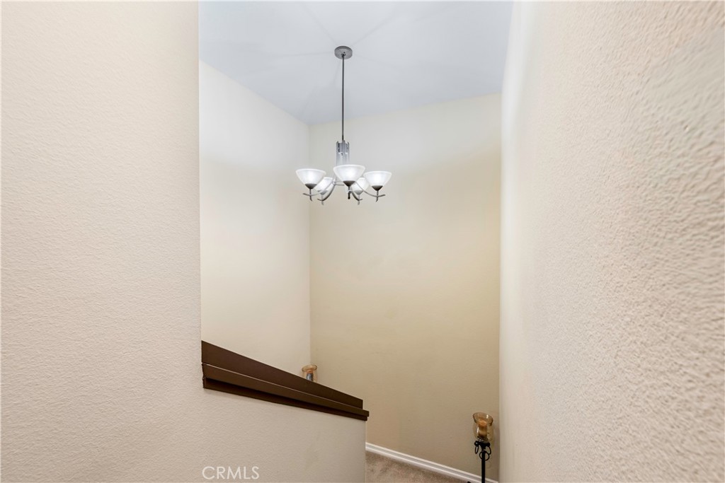 25900 Oak Street 102