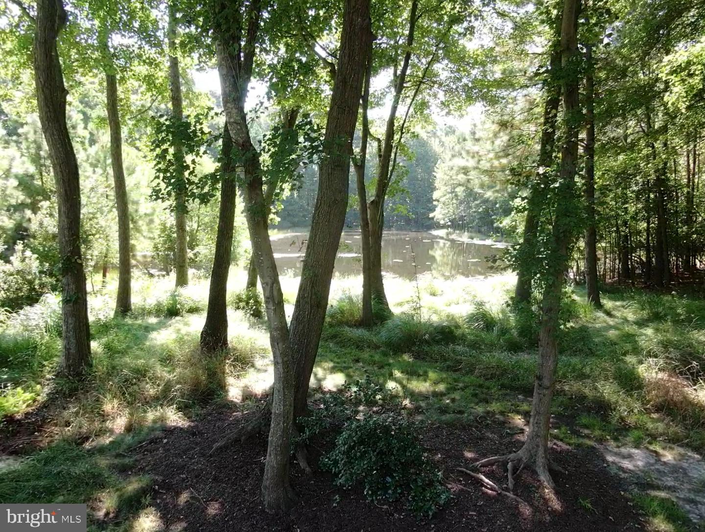 325 Walkabout Rd